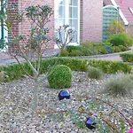 Apartment Huus Westerdiek *