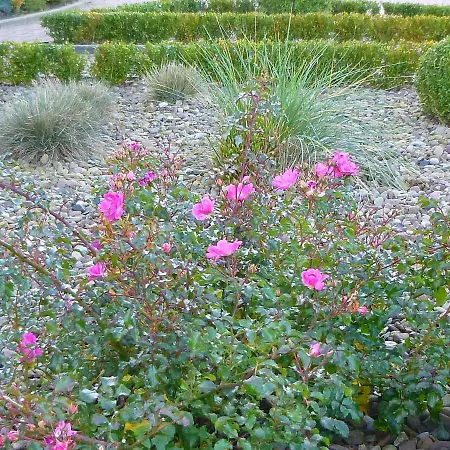 Huus Westerdiek Appartamento Neßmersiel