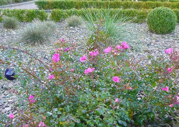 Huus Westerdiek Daire Neßmersiel